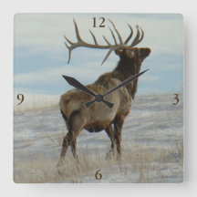 E58 Bull Elk Lucky 13 Bull