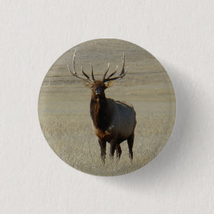 E59 Bull Elk 1 Inch Round Button