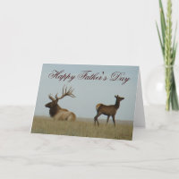 E5 Bull Elk and Yearling