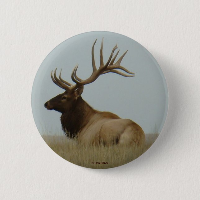 E5 Bull Elk Big Bull 2 Inch Round Button (Front)