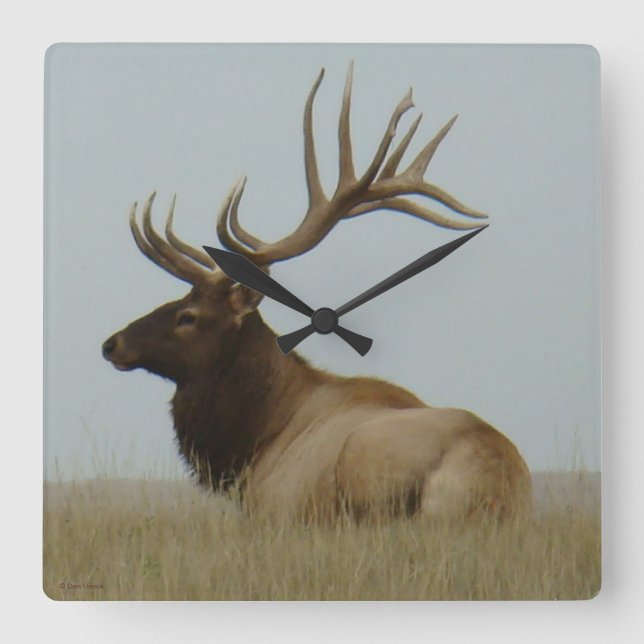 E5a Bull Elk Huge Bull Square Wall Clock (Front)