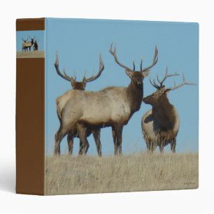 E60 Bull Elk Sky Lined Binder