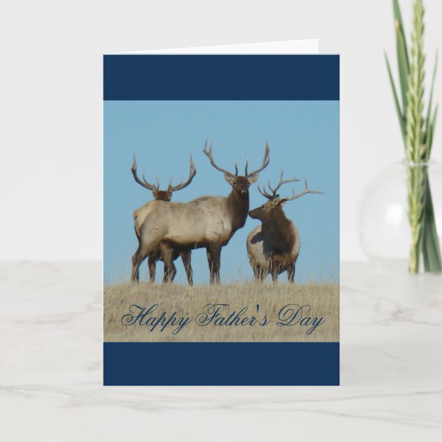E60 Bull Elk Sky Lined Card (Front)
