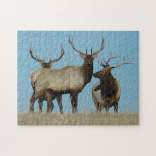 E60 Bull Elk Sky Lined Jigsaw Puzzle