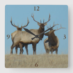 E60 Bull Elk Sky Lined Square Wall Clock