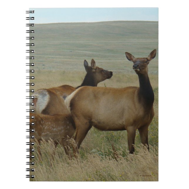 E61 Cow Elk and Calf Notebook (Front)