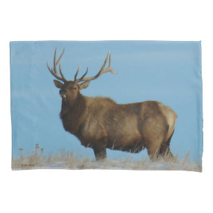 E62 Bull Elk Sky Lined Pillowcase