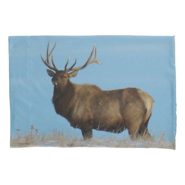E62 Bull Elk Sky Lined Pillowcase (Front)