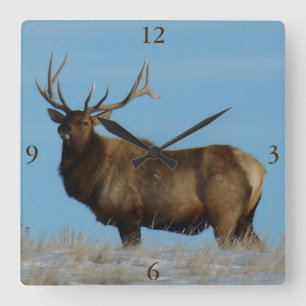 E62 Bull Elk Sky Lined Square Wall Clock