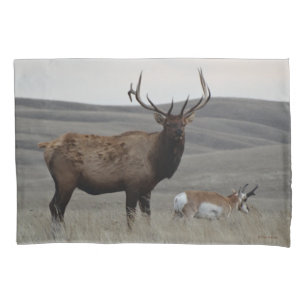 E63 Bull Elk and Antelope Buck Pillowcase