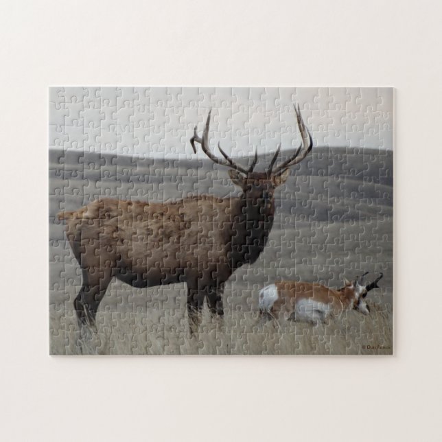 E63 Bull Elk and Pronghorn Antelope Jigsaw Puzzle (Horizontal)