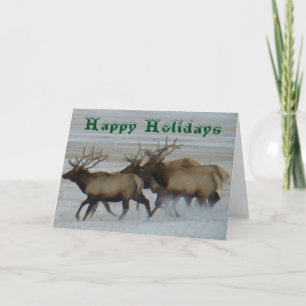 E64 Bull Elk Running Holiday Card