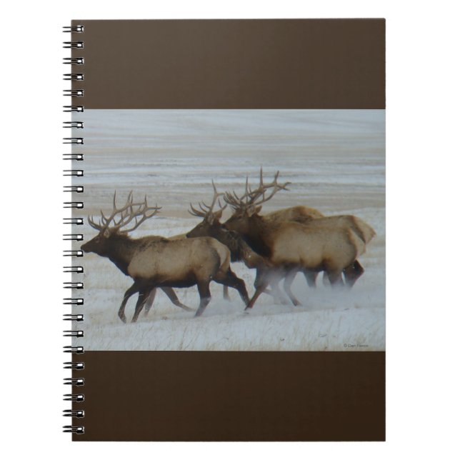 E64 Bull Elk Running in Snow Notebook (Front)