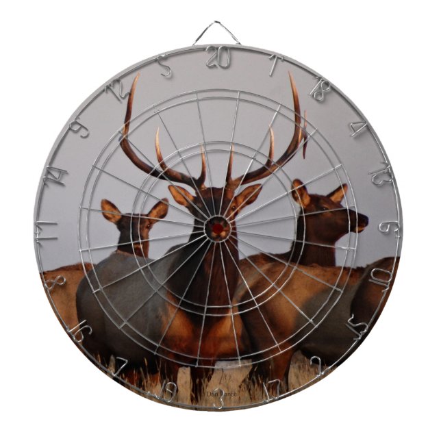 E66 Bull Elk and Cows Dartboard (Front)