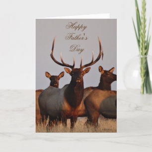 E66 Bull Elk and Cows Holiday Card