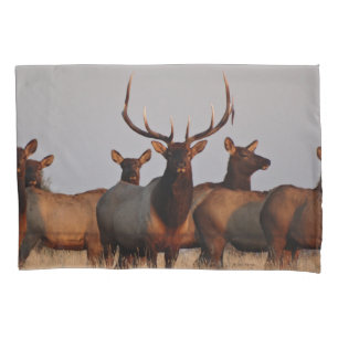 E66 Bull Elk and Cows Pillowcase