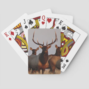E66 Bull Elk and Cows Playing Cards