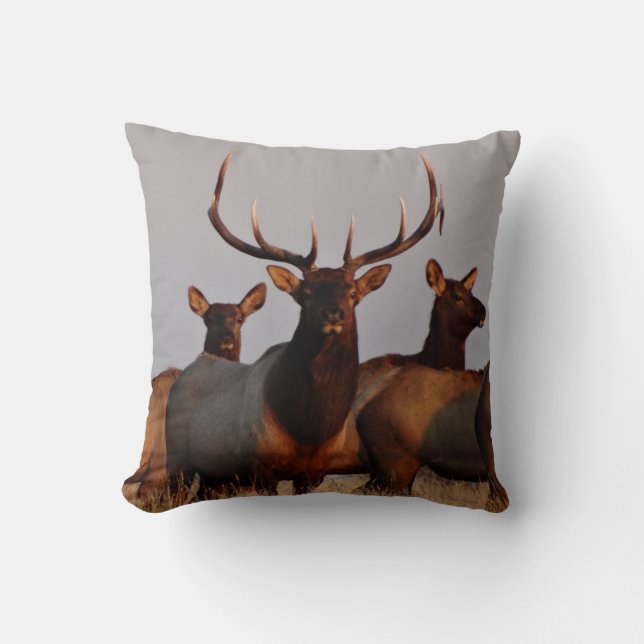 E66 Bull Elk and Cows Throw Pillow (Front)