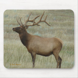 E8 Bull Elk in Velvet Mouse Pad