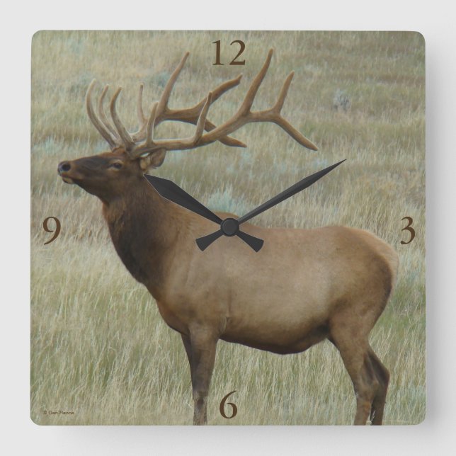 E8 Bull Elk in Velvet Square Wall Clock (Front)