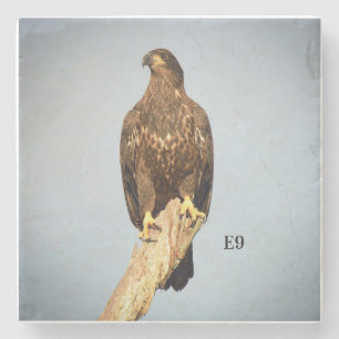 E9 stone coaster