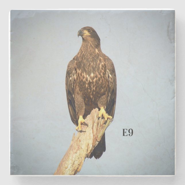 E9 stone coaster (Front)