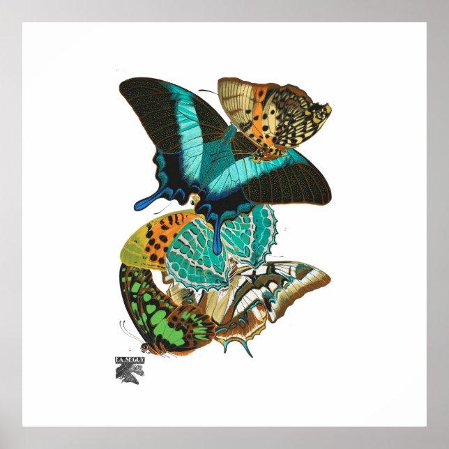 E.A. Séguy Vintage Butterflies Illustration Poster (Front)