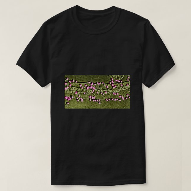 E Coli Cell Wall with Bacteriophages 1 T-Shirt (Design Front)