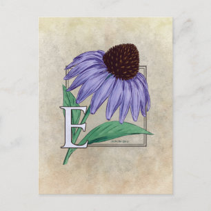 E for Echinacea Flower Monogram Cards
