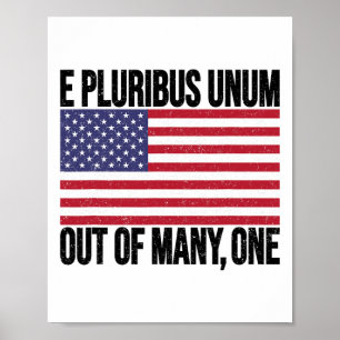 E Pluribus Unum Usa Flag For Women Men  Poster