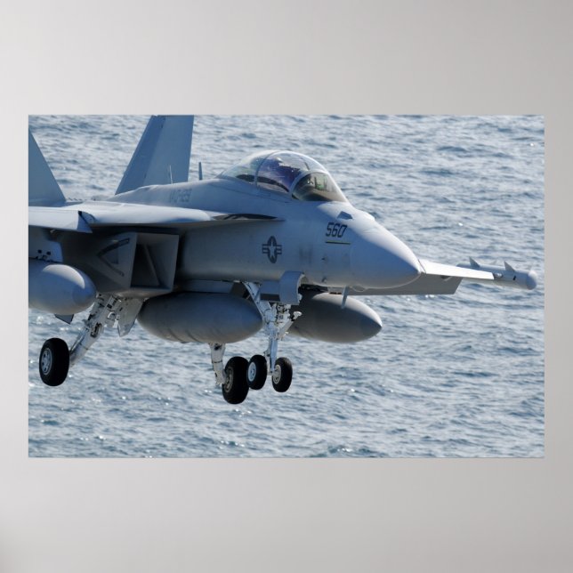 EA-18G Growler Poster (Front)