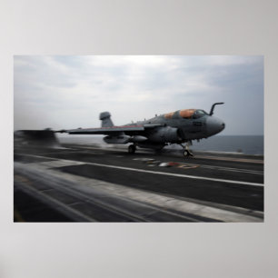EA-6B Prowler Poster