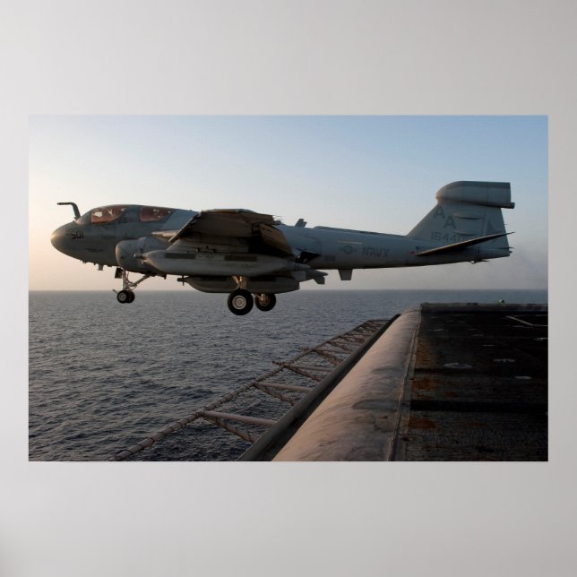 EA-6B Prowler Poster (Front)