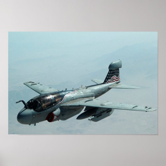 EA-6B Prowler Poster (Front)