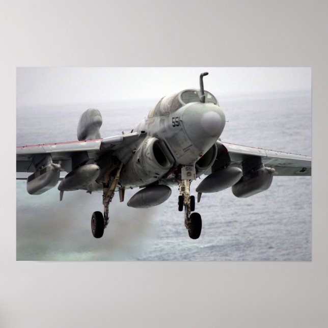 EA-6B Prowler Poster (Front)