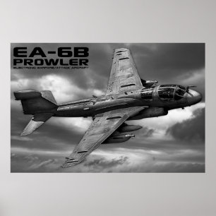 EA-6B Prowler Poster