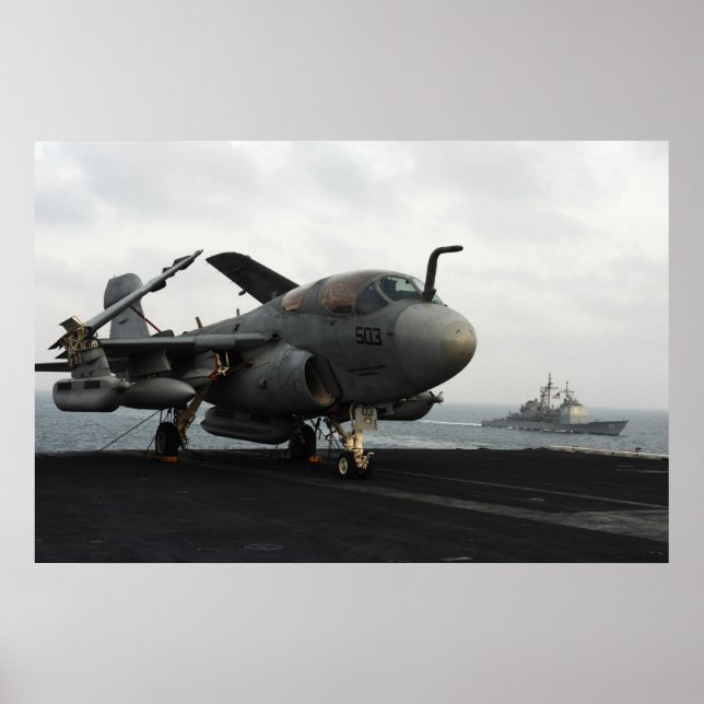 EA-6B Prowler Poster (Front)