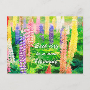 Each Day is a New Beginning Colourful Lupine Flowe Postcard