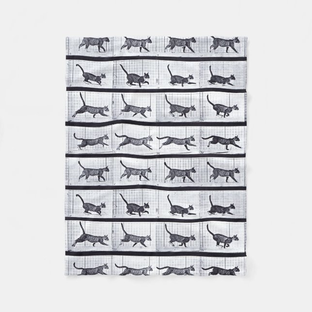 EADWEARD MUYBRIDGE : Chat marchant - couverture (Devant)