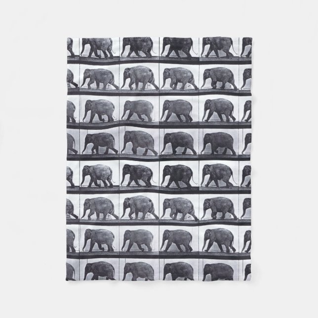 EADWEARD MUYBRIDGE : Couverture laineuse de marche (Devant)