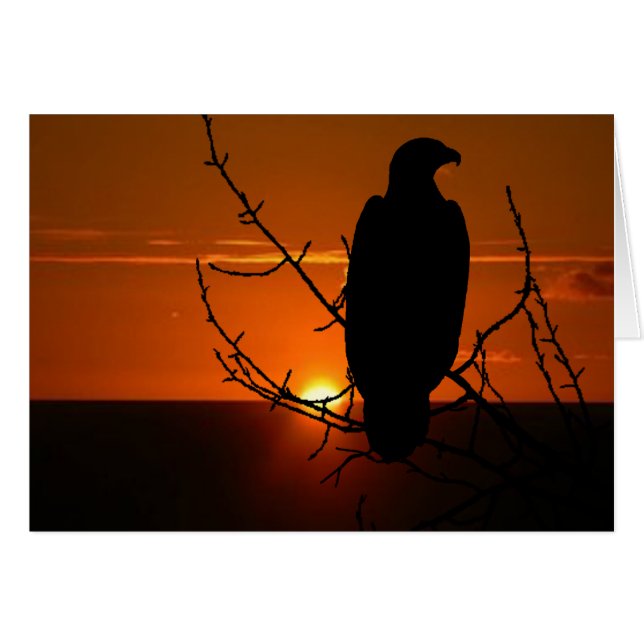 Eagle (Front Horizontal)