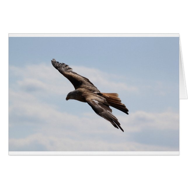 Eagle (Front Horizontal)