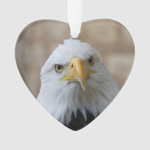 Eagle_2015_0201 Ornament