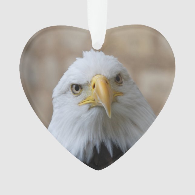 Eagle_2015_0201 Ornament (Front)