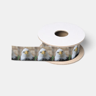 Eagle_2015_0201 Satin Ribbon
