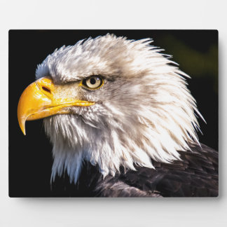 Eagle 2 plaque