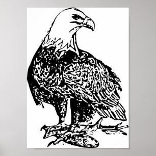 Eagle 2 Print, Value Poster Paper (Matte)