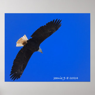 Eagle against a blue sky poster