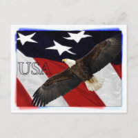 Eagle and American Flag USA