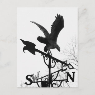 Eagle and Arrow Postcard